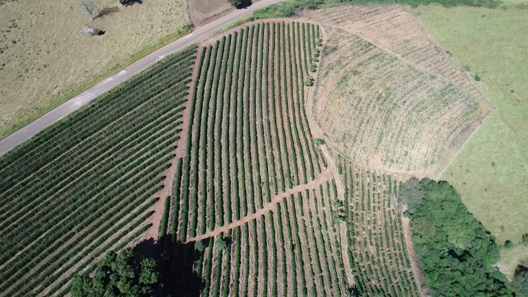 Imagem Fazenda à Venda, 31 m² em Poços De Caldas Imagem Fazenda à Venda, 31 m² em Poços De Caldas