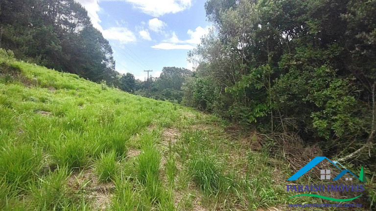 Imagem Chácara à Venda, 20 m² em Centro - Camanducaia