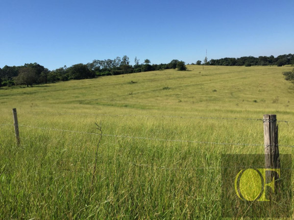 Imagem Fazenda à Venda, 27 m² em Avare - Avaré