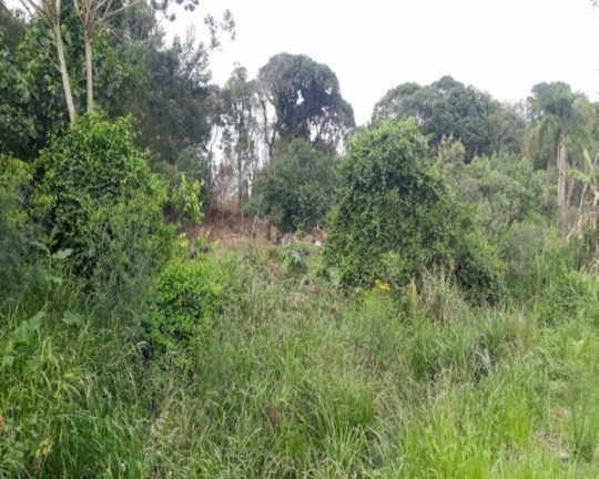 Imagem Imóvel à Venda, 450 m² em Vila Germânia - Nova Petrópolis Imagem Imóvel à Venda, 450 m² em Vila Germânia - Nova Petrópolis