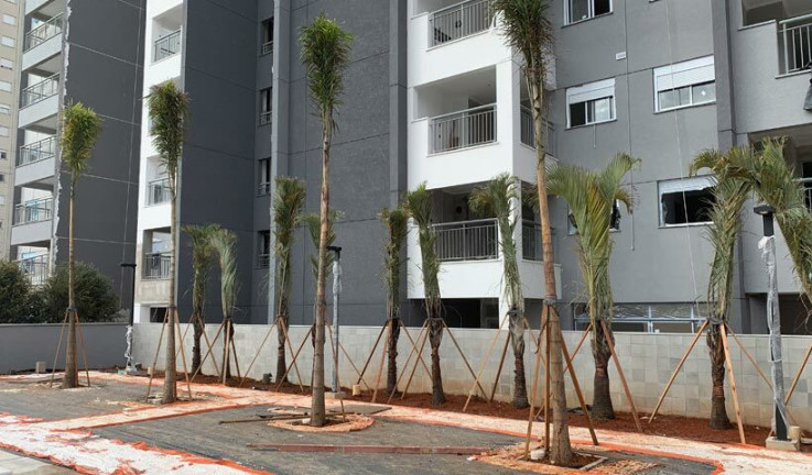 Imagem Apartamento com 2 Quartos à Venda, 66 m² em Parque São Jorge - São Paulo
