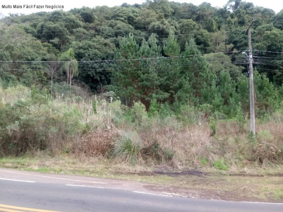 Imagem Terreno à Venda, 429 m² em Linha Imperial - Nova Petrópolis Imagem Terreno à Venda, 429 m² em Linha Imperial - Nova Petrópolis