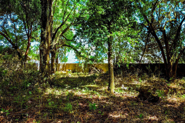 Imagem Terreno à Venda, 2.189 m² em Pinheirinho - Curitiba Imagem Terreno à Venda, 2.189 m² em Pinheirinho - Curitiba