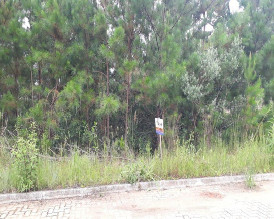 Imagem Imóvel à Venda, 384 m² em Vila Germânia - Nova Petrópolis Imagem Imóvel à Venda, 384 m² em Vila Germânia - Nova Petrópolis
