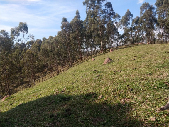 Imagem Fazenda à Venda, 150 m² em Canto Das águas - Igaratá