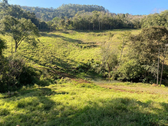 Imagem Terreno à Venda, 112.816 m² em Sc-154 - Itá Imagem Terreno à Venda, 112.816 m² em Sc-154 - Itá