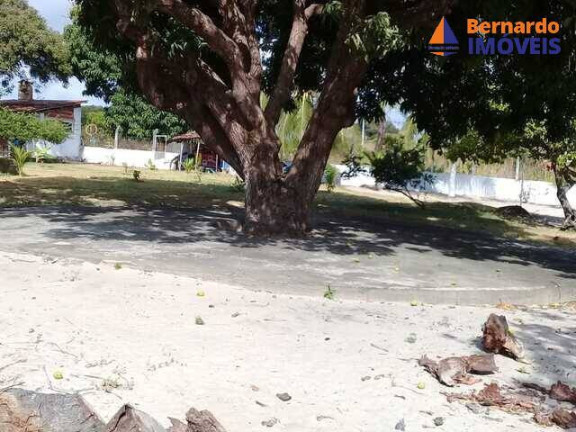 Imagem Chácara com 4 Quartos à Venda, 350 m² em Pedro De Souza - Cascavel Imagem Chácara com 4 Quartos à Venda, 350 m² em Pedro De Souza - Cascavel