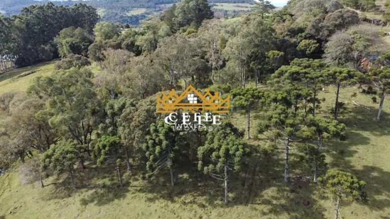 Imagem Sala Comercial à Venda, 20 m² em Zona Rural - Igrejinha Imagem Sala Comercial à Venda, 20 m² em Zona Rural - Igrejinha