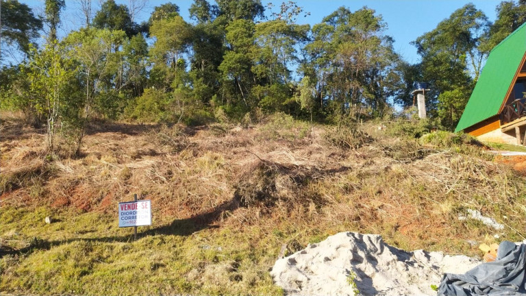 Imagem Terreno à Venda, 360 m² em Centro - Siderópolis
