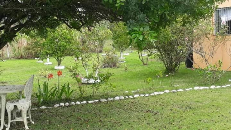Imagem Chácara com 3 Quartos à Venda, 100 m² em Anta Gorda - Itariri Imagem Chácara com 3 Quartos à Venda, 100 m² em Anta Gorda - Itariri