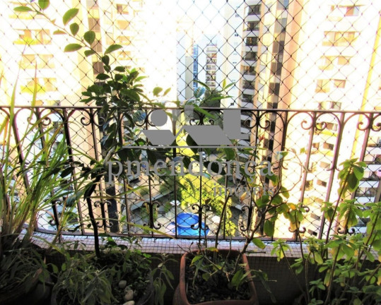 Imagem Apartamento com 3 Quartos à Venda, 119 m² em Perdizes - São Paulo Imagem Apartamento com 3 Quartos à Venda, 119 m² em Perdizes - São Paulo
