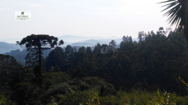 Imagem Chácara com 3 Quartos à Venda, 50.000 m² em Alto Da Serra - São Roque Imagem Chácara com 3 Quartos à Venda, 50.000 m² em Alto Da Serra - São Roque