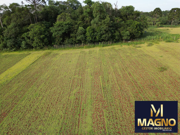 Imagem Chácara à Venda, 2 m² em Zona Rural - Cascavel Imagem Chácara à Venda, 2 m² em Zona Rural - Cascavel