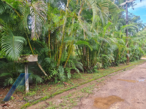 Imagem Terreno à Venda, 518 m² em Itamambuca - Ubatuba Imagem Terreno à Venda, 518 m² em Itamambuca - Ubatuba