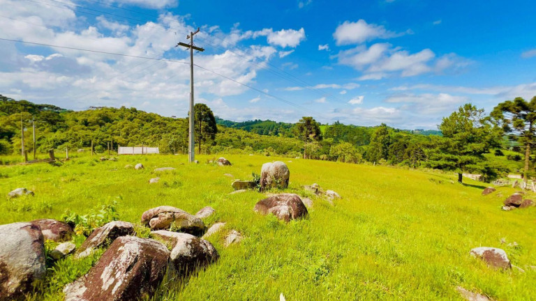 Imagem Imóvel à Venda, 9.700 m² em Rio Da Várzea - Quitandinha Imagem Imóvel à Venda, 9.700 m² em Rio Da Várzea - Quitandinha