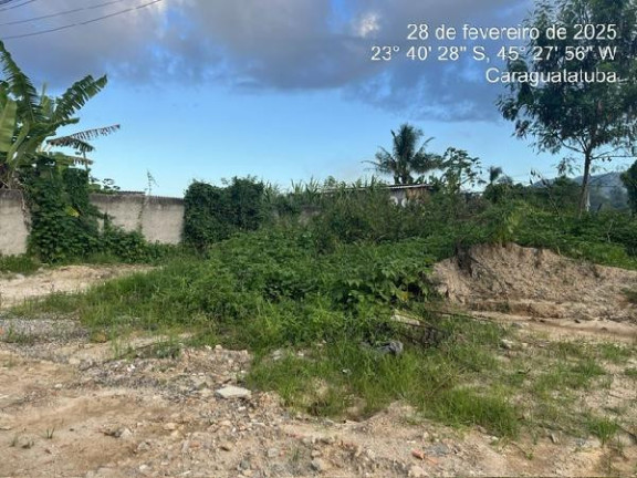 Imagem Terreno à Venda, 353 m² em Balneario Dos Golfinhos - Caraguatatuba Imagem Terreno à Venda, 353 m² em Balneario Dos Golfinhos - Caraguatatuba