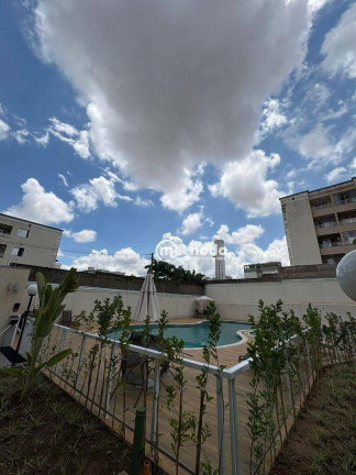 Imagem Apartamento com 2 Quartos à Venda ou Locação, 52 m² em Jardim Nova Europa - Campinas Imagem Apartamento com 2 Quartos à Venda ou Locação, 52 m² em Jardim Nova Europa - Campinas