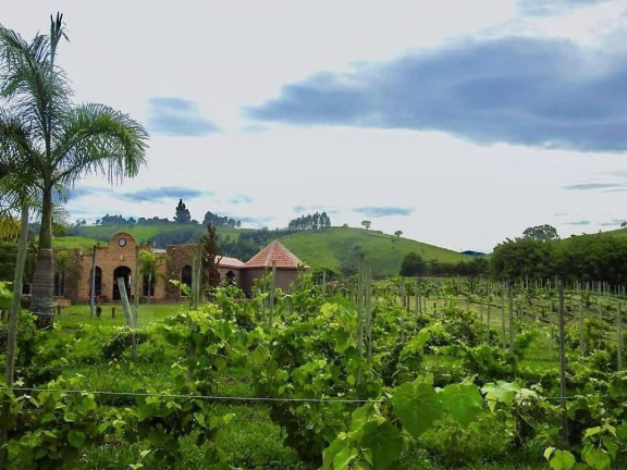 Imagem Imóvel Comercial à Venda, 5.000 m² em Cunha