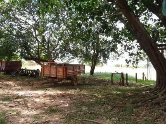 Imagem Chácara com 4 Quartos à Venda, 2.000 m² em Alambari