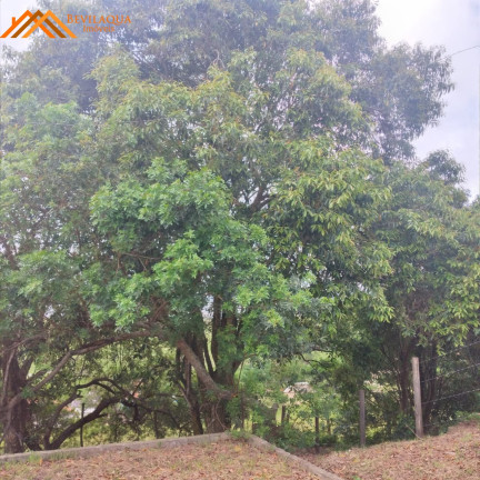 Imagem Terreno à Venda, 1.460 m² em Cangueri De Fora - Imaruí