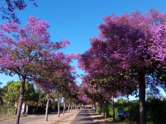 Terreno à Venda, 5.000 m² em Condomínio Alto Da Boa Vista - Senador Canedo
