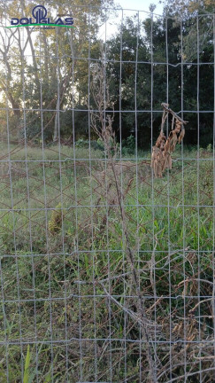 Imagem Terreno à Venda, em Viamão Imagem Terreno à Venda, em Viamão