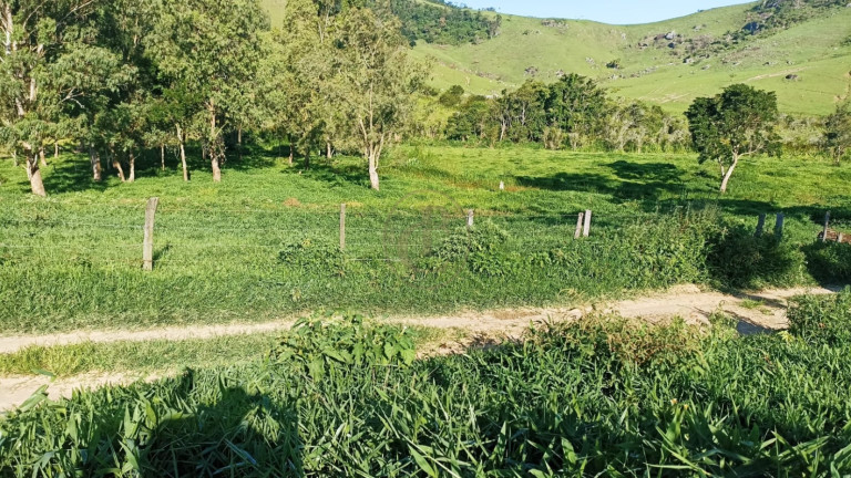 Imagem Fazenda à Venda, 100 m² em Espírito Santo - Paraibuna Imagem Fazenda à Venda, 100 m² em Espírito Santo - Paraibuna