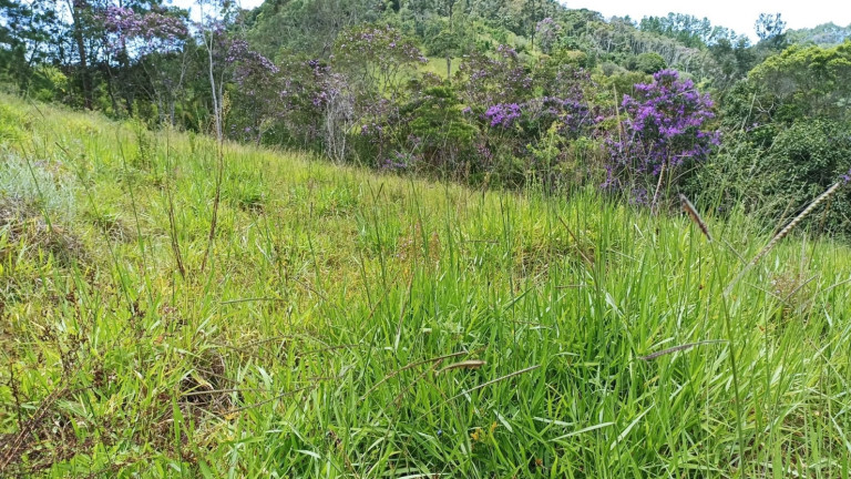 Imagem Chácara com 3 Quartos à Venda, 500 m² em Centro - Paraibuna