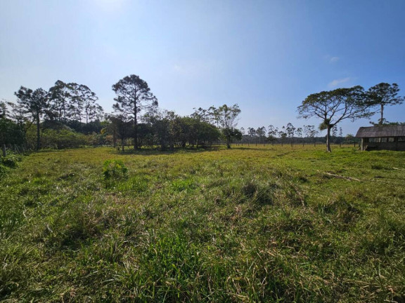 Imagem Casa com 4 Quartos à Venda, 320 m² em Pinheiros - Balneário Barra Do Sul Imagem Casa com 4 Quartos à Venda, 320 m² em Pinheiros - Balneário Barra Do Sul