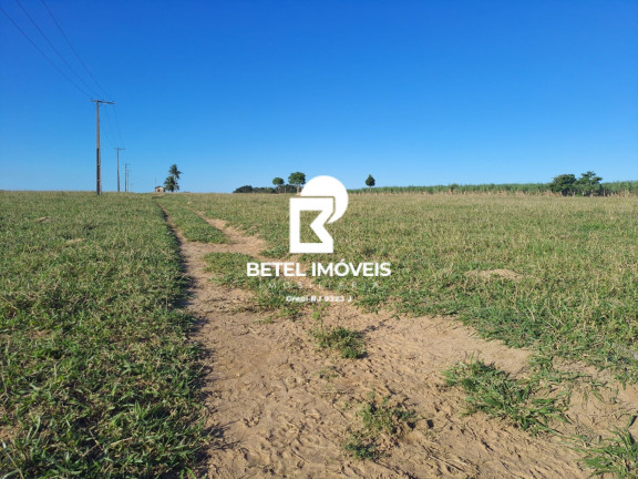 Imagem Terreno à Venda, 2.000 m² em Bom Jardim - São Francisco De Itabapoana Imagem Terreno à Venda, 2.000 m² em Bom Jardim - São Francisco De Itabapoana