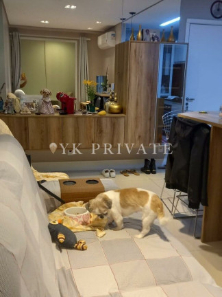 Imagem Apartamento com 2 Quartos para Alugar, 55 m² em Vila Anastácio - São Paulo Imagem Apartamento com 2 Quartos para Alugar, 55 m² em Vila Anastácio - São Paulo