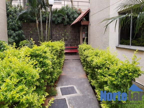 Imagem Apartamento com 2 Quartos à Venda, 49 m² em Vila Portugal - São Paulo Imagem Apartamento com 2 Quartos à Venda, 49 m² em Vila Portugal - São Paulo