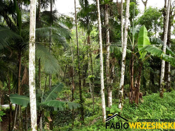 Imagem Chácara com 3 Quartos à Venda, 120 m² em Dona Francisca (piraberaba) - Joinville Imagem Chácara com 3 Quartos à Venda, 120 m² em Dona Francisca (piraberaba) - Joinville