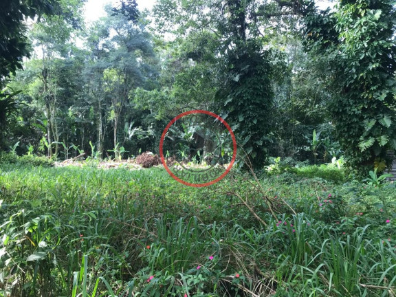 Imagem Terreno à Venda, 250 m² em Boiçucanga - São Sebastião Imagem Terreno à Venda, 250 m² em Boiçucanga - São Sebastião