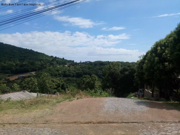Imagem Imóvel à Venda, 300 m² em Germânia - Nova Petrópolis Imagem Imóvel à Venda, 300 m² em Germânia - Nova Petrópolis