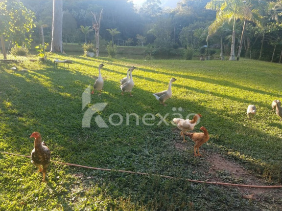 Imagem Chácara com 3 Quartos à Venda, 250 m² em Rio De Peixe - São José Dos Campos Imagem Chácara com 3 Quartos à Venda, 250 m² em Rio De Peixe - São José Dos Campos