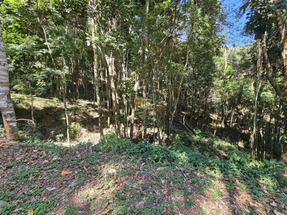 Imagem Terreno à Venda, 5.000 m² em Green Valleiy - Teresópolis Imagem Terreno à Venda, 5.000 m² em Green Valleiy - Teresópolis