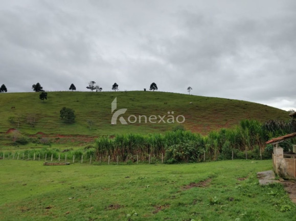 Imagem Fazenda à Venda, 100 m² em Cachoeira Grande - Lagoinha Imagem Fazenda à Venda, 100 m² em Cachoeira Grande - Lagoinha