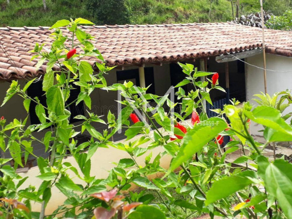 Imagem Chácara com 4 Quartos à Venda, 400 m² em Bairro Do Turvo - São José Dos Campos