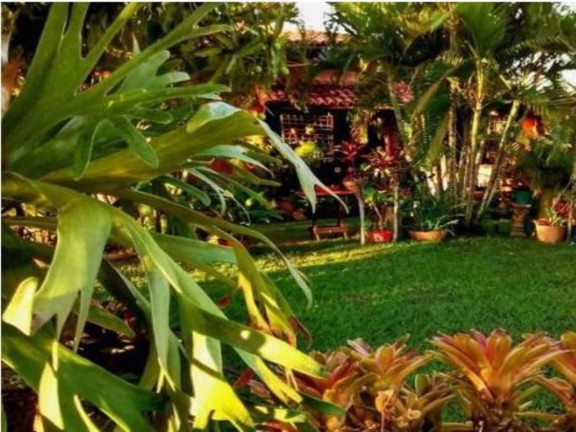 Imagem Fazenda à Venda, 204 m² em Barra Do Pojuca - Camaçari Imagem Fazenda à Venda, 204 m² em Barra Do Pojuca - Camaçari