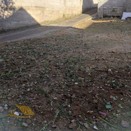 Imagem Terreno à Venda, 230 m² em Cônego - Nova Friburgo Imagem Terreno à Venda, 230 m² em Cônego - Nova Friburgo