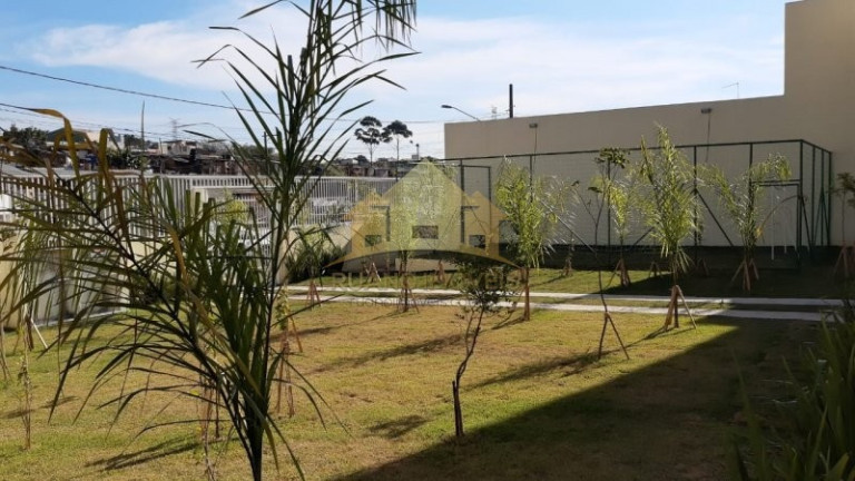 Imagem Apartamento com 2 Quartos à Venda, 46 m² em Vila Nova York - São Paulo
