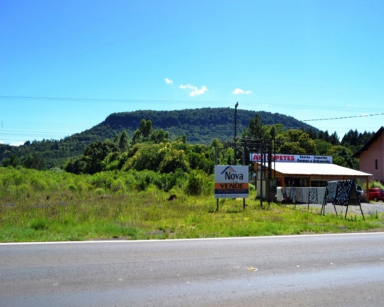 Imagem Imóvel à Venda, 36.094 m² em Linha Araripe - Nova Petrópolis
