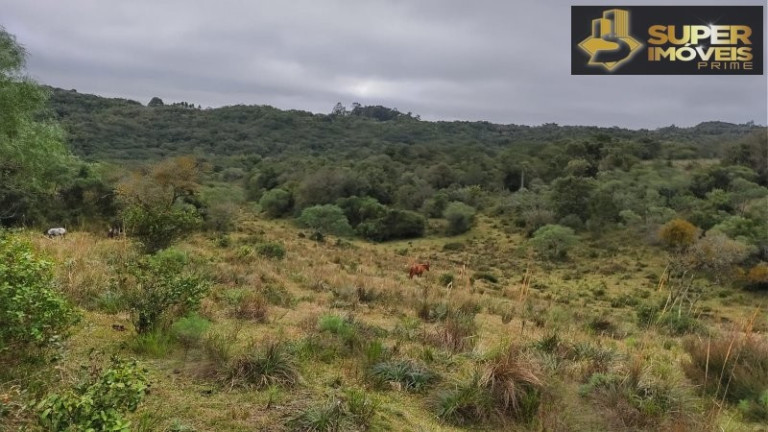 Imagem Imóvel com 4 Quartos à Venda, 2.600.000 m² em Centro - Canguçu