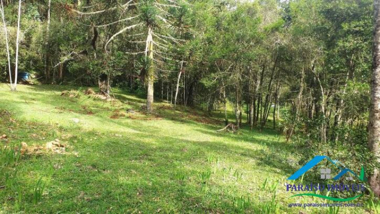 Imagem Terreno à Venda, 10.794 m² em Centro - Gonçalves