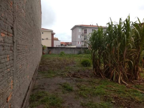 Terreno à Venda, 245 m² em Vila Aparecida - Taubaté