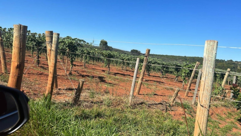 Imagem Chácara à Venda, 2.000 m² em Zona Rural - Bonfinópolis Imagem Chácara à Venda, 2.000 m² em Zona Rural - Bonfinópolis