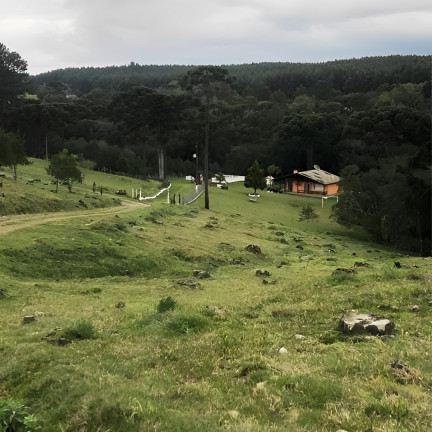 Imagem Imóvel com 4 Quartos à Venda, 150 m² em Vila Seca - Caxias Do Sul