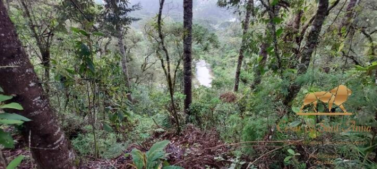 Imagem Terreno à Venda, 5.170 m² em Descansópolis - Campos Do Jordão Imagem Terreno à Venda, 5.170 m² em Descansópolis - Campos Do Jordão