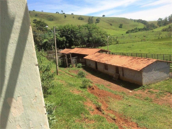 Imagem Imóvel com 3 Quartos à Venda, 448.000 m² em Roseta - Cambuí